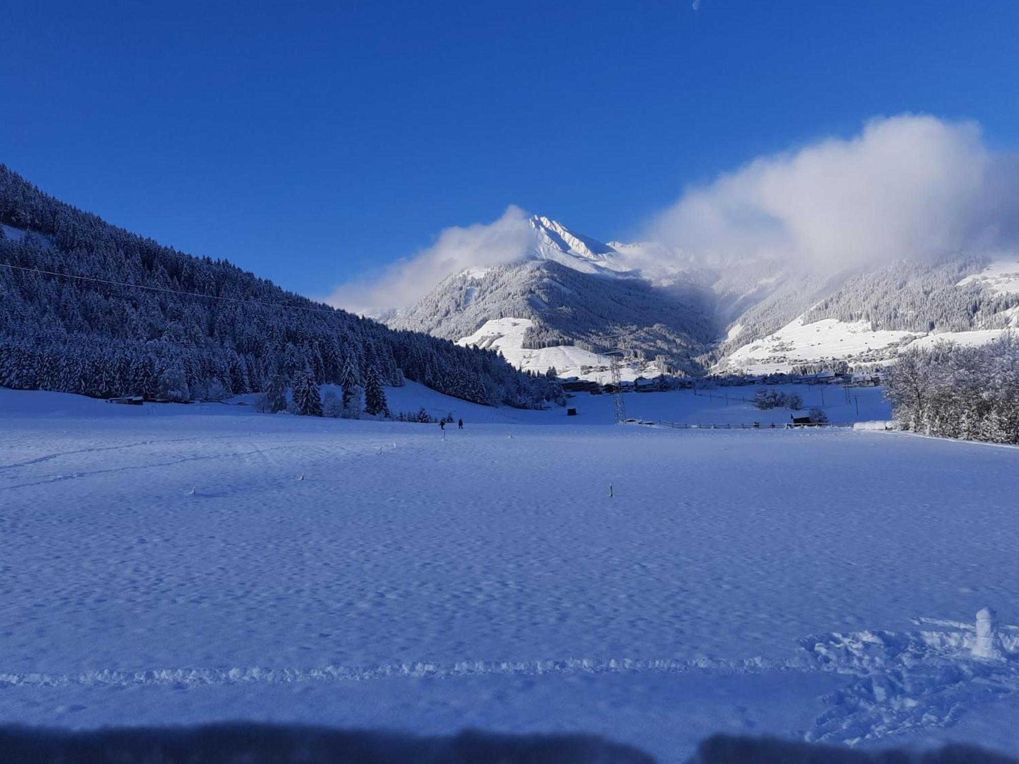 Die Wiesen Apartments Innsbruck Bagian luar foto